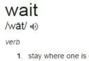 Definition of Wait